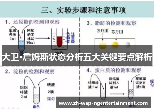 大卫·詹姆斯状态分析五大关键要点解析