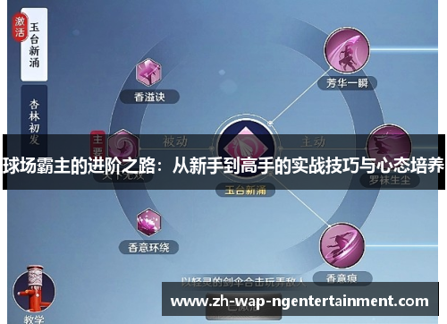 球场霸主的进阶之路：从新手到高手的实战技巧与心态培养