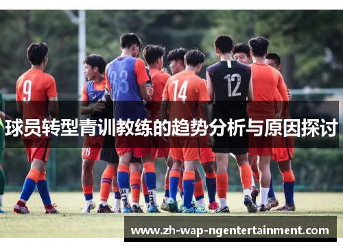 球员转型青训教练的趋势分析与原因探讨