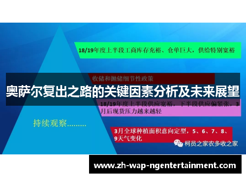 奥萨尔复出之路的关键因素分析及未来展望