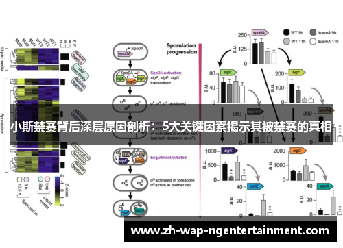 小斯禁赛背后深层原因剖析：5大关键因素揭示其被禁赛的真相