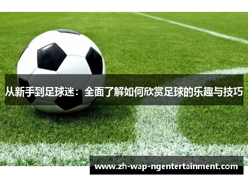 从新手到足球迷：全面了解如何欣赏足球的乐趣与技巧