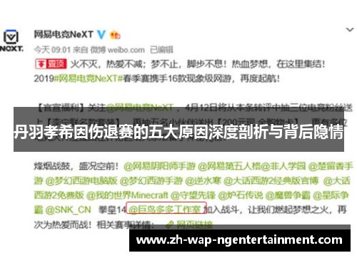 丹羽孝希因伤退赛的五大原因深度剖析与背后隐情