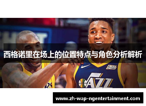 西格诺里在场上的位置特点与角色分析解析
