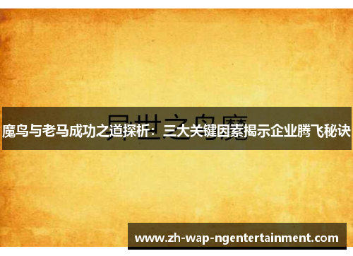 魔鸟与老马成功之道探析：三大关键因素揭示企业腾飞秘诀