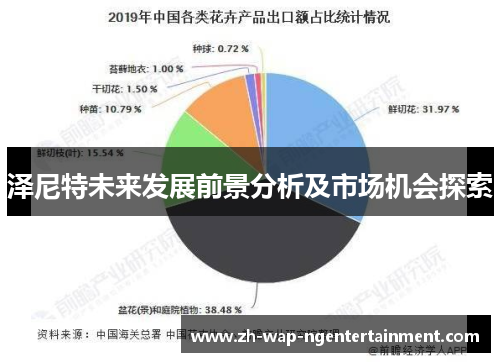泽尼特未来发展前景分析及市场机会探索