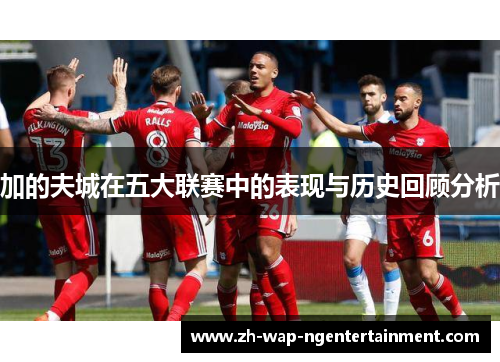 加的夫城在五大联赛中的表现与历史回顾分析 加的夫城在五大联赛中的表现与历史回顾分析