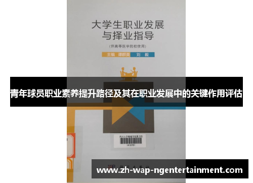 青年球员职业素养提升路径及其在职业发展中的关键作用评估