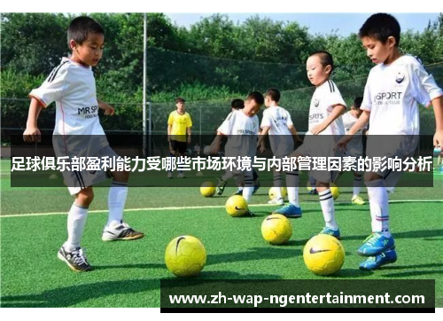 足球俱乐部盈利能力受哪些市场环境与内部管理因素的影响分析