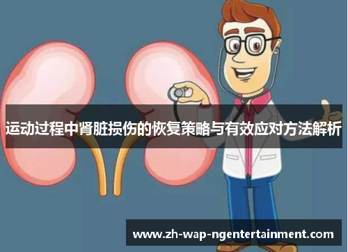 运动过程中肾脏损伤的恢复策略与有效应对方法解析
